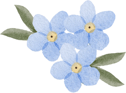 Blueish Forget Me Not Flower